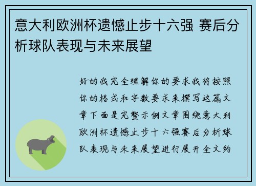意大利欧洲杯遗憾止步十六强 赛后分析球队表现与未来展望